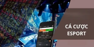 Trang cá cược Esport